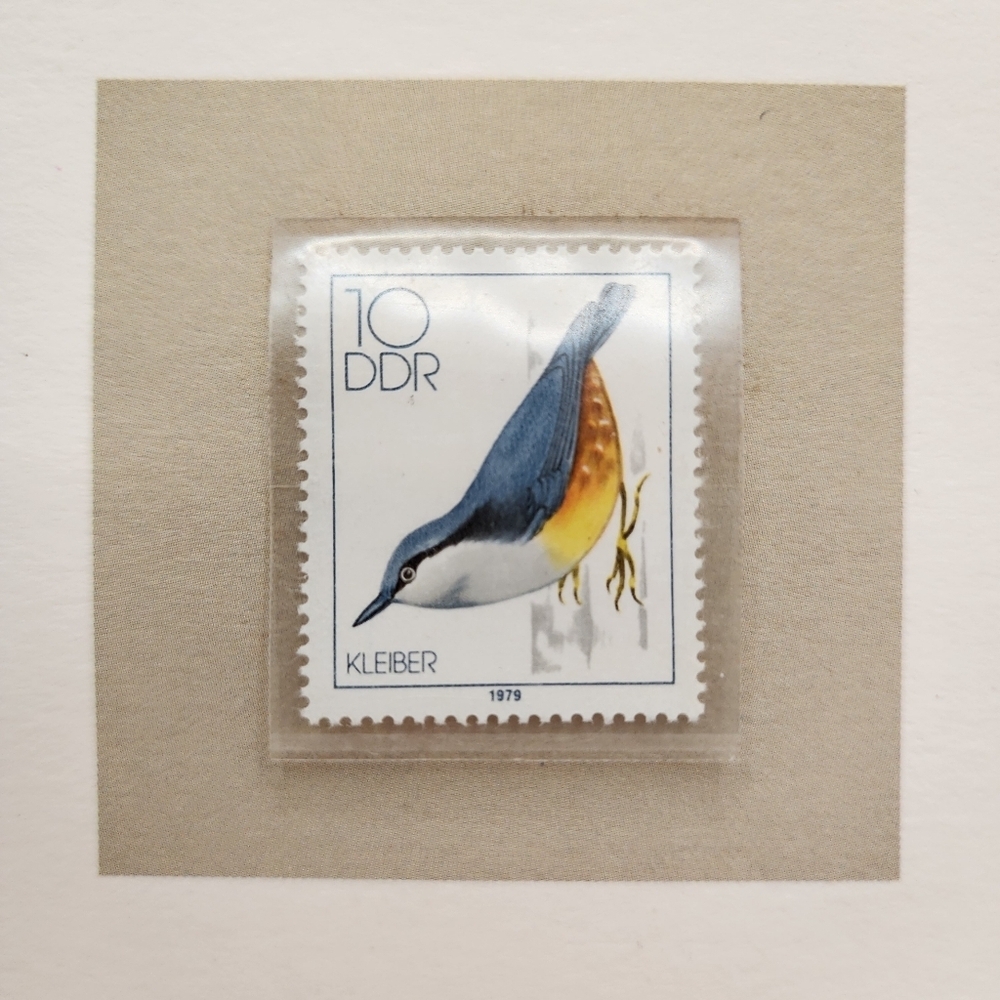 34 RSPB Songbirds of the World Stamps Vintage Royal Society British - Picture 7 of 13